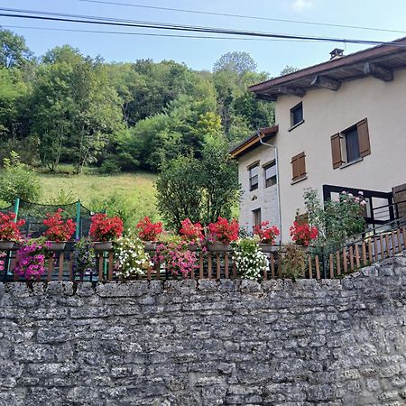 Gite Du Vieux Tonneau Cerdon  ภายนอก รูปภาพ